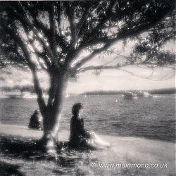 Young Woman Sitting under Tree, Sydney Harbour